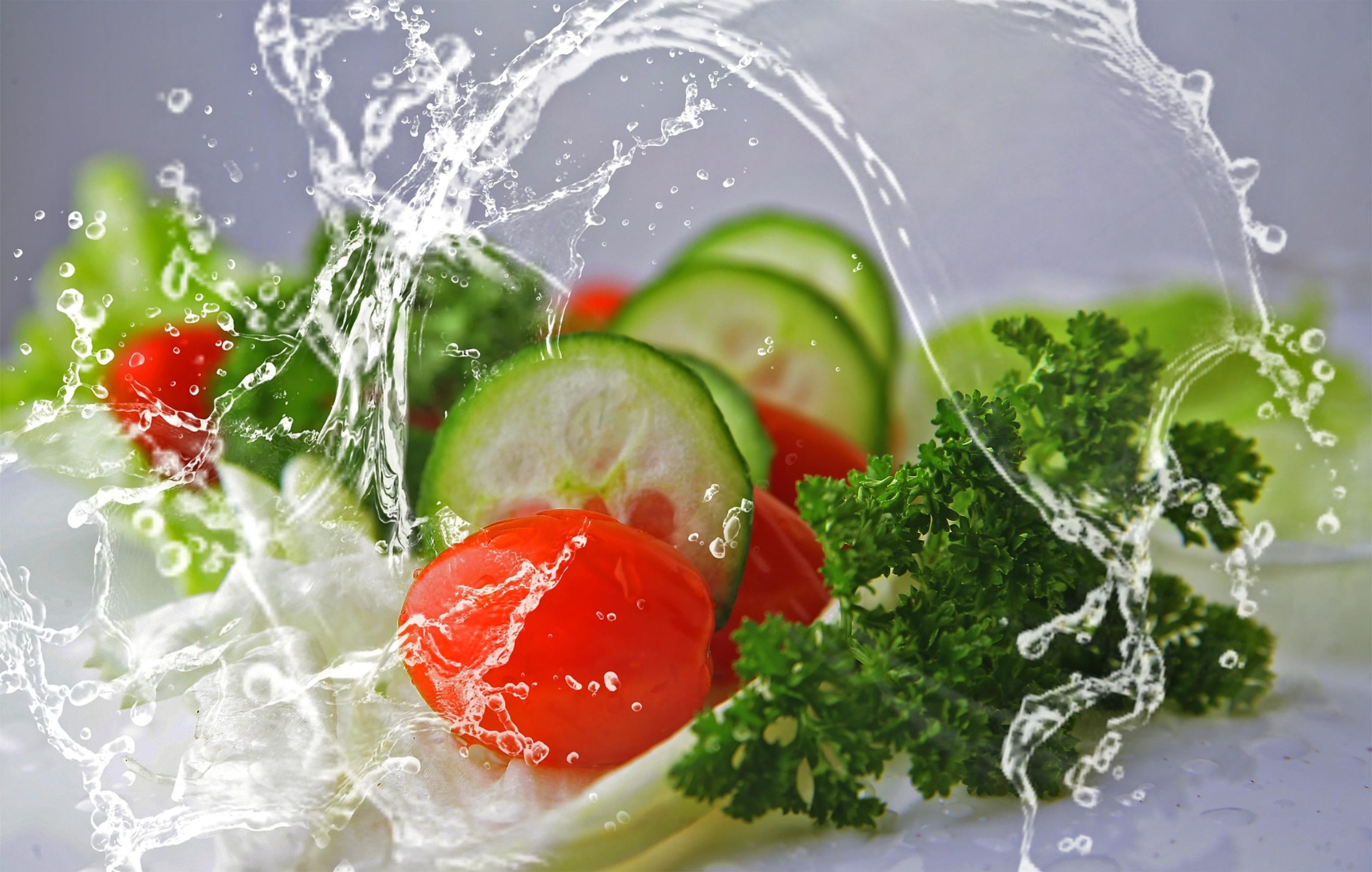 sponchia-meal-2834549_1920